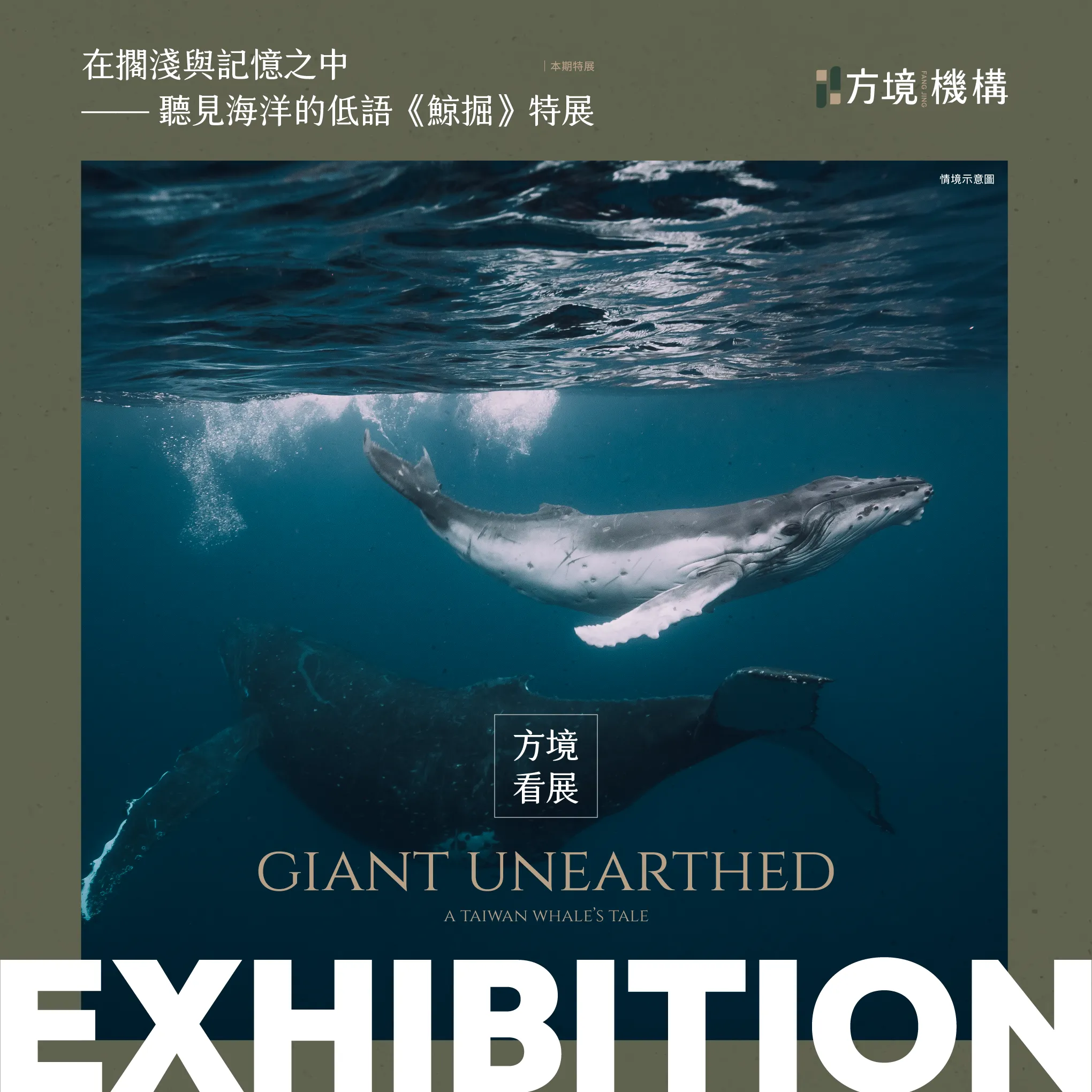 方境看展｜《鯨掘》特展