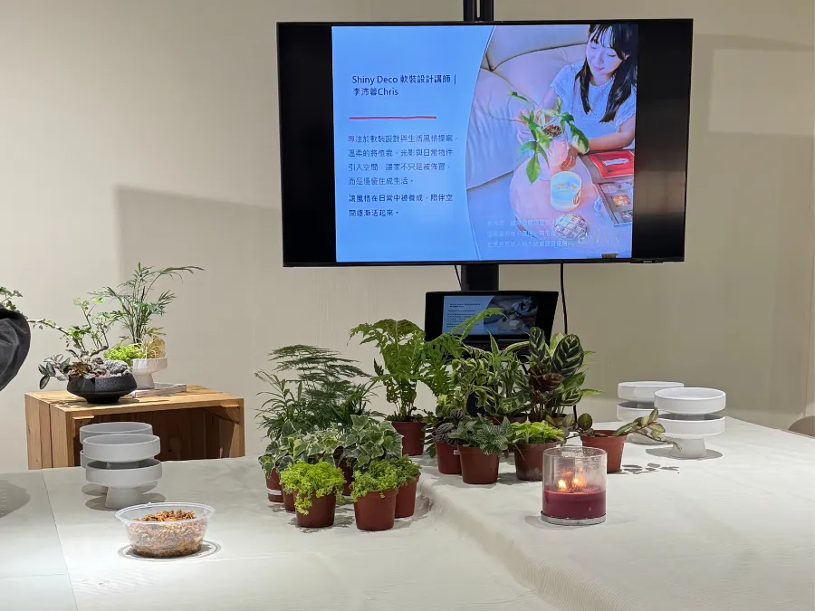 Shiny Deco｜原礦水晶組盆美學課